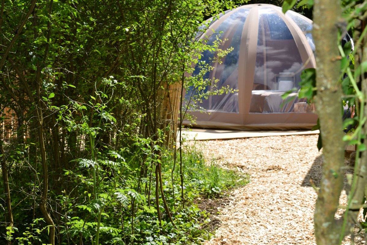 Bulle de nature & Spa à Tuffalun (4)