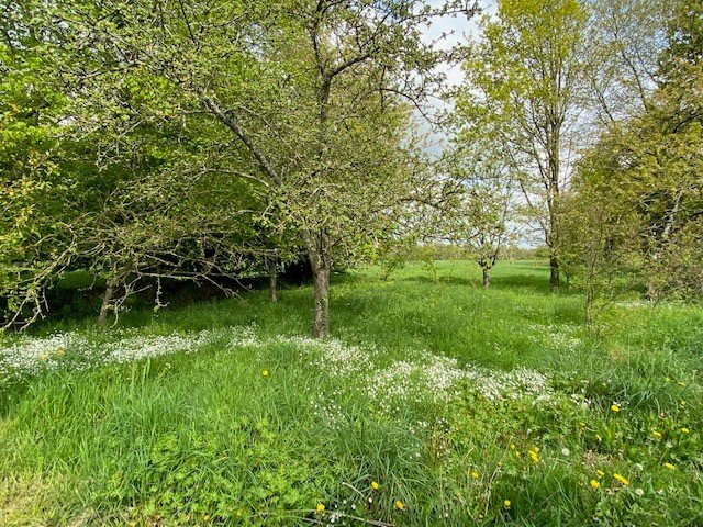 Domaine AbracadaRoom : LES INSOLITES DE SOPHIE - Image 7