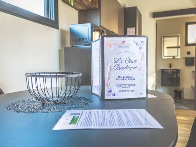 Hébergement AbracadaRoom : ECOLODGE LE PINOT BLANC - Image 9