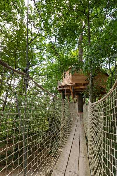 Hébergement AbracadaRoom : Monkey Tree - Image 2