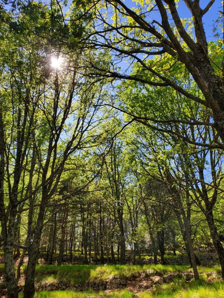 Domaine AbracadaRoom : Retour aux Sources - Image 12