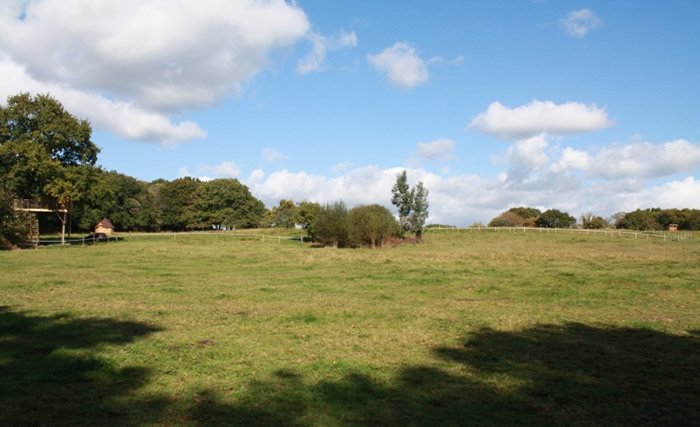 Hébergement AbracadaRoom : La Cabane perchée Neh er lenn - Image 10