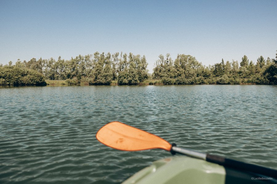 Hébergement AbracadaRoom : L'Etang des P'tits Plaisirs -Refuge en nature 2 - Image 32