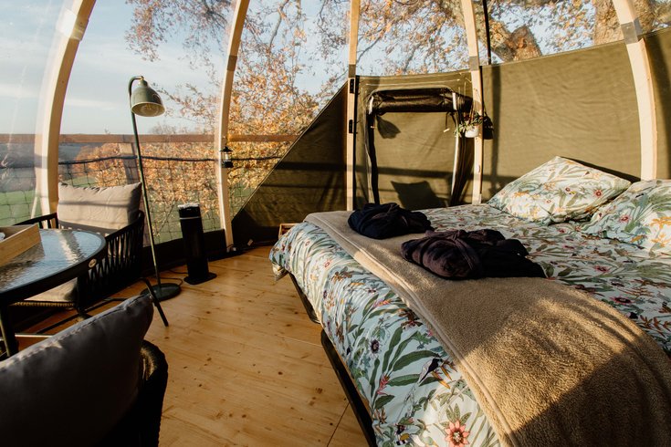 Hébergement AbracadaRoom : Bulle au sommet du Chêne & Spa - Image 5