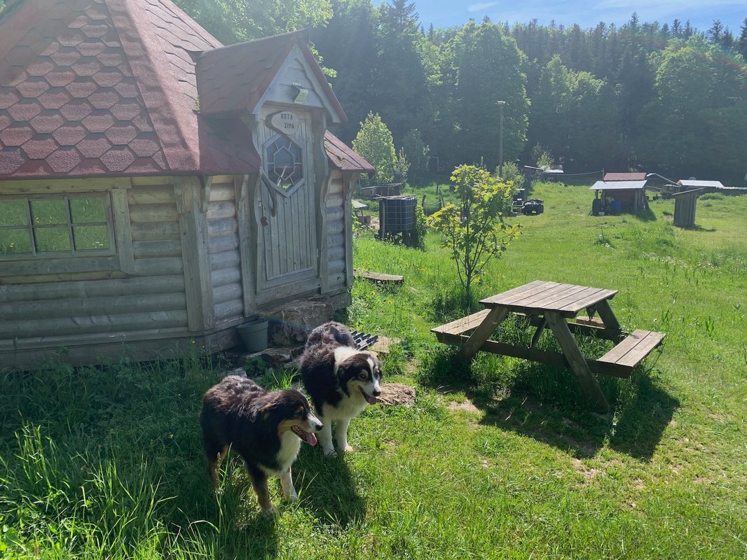 Kota 4 Zima - Séjour inoubliable auprès de huskies à Vassieux-En-Vercors (23)