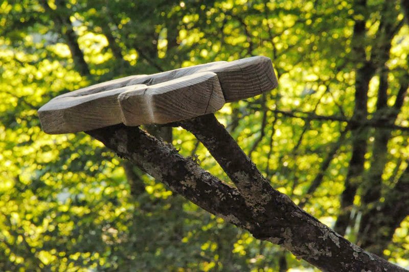 Hébergement AbracadaRoom : Cabane Canopée - Image 5