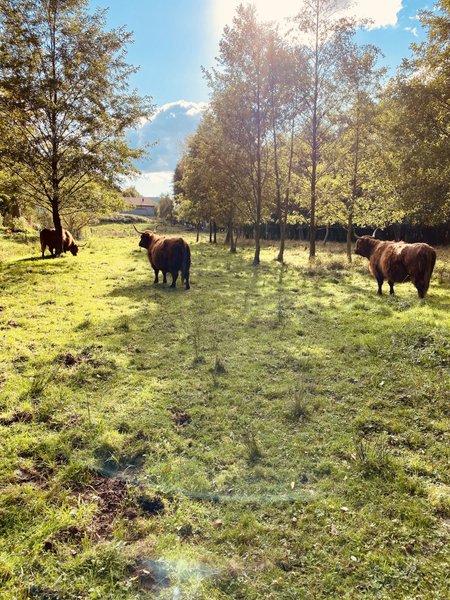 Domaine AbracadaRoom : La Grange d'Hélène - Image 9