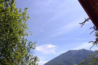 Les Insolites d'Eljie