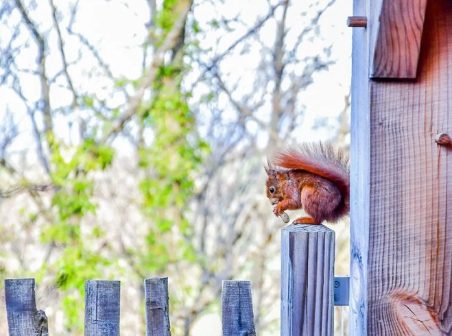 Domaine AbracadaRoom : Les Cabanes du Hérisson - Image 6