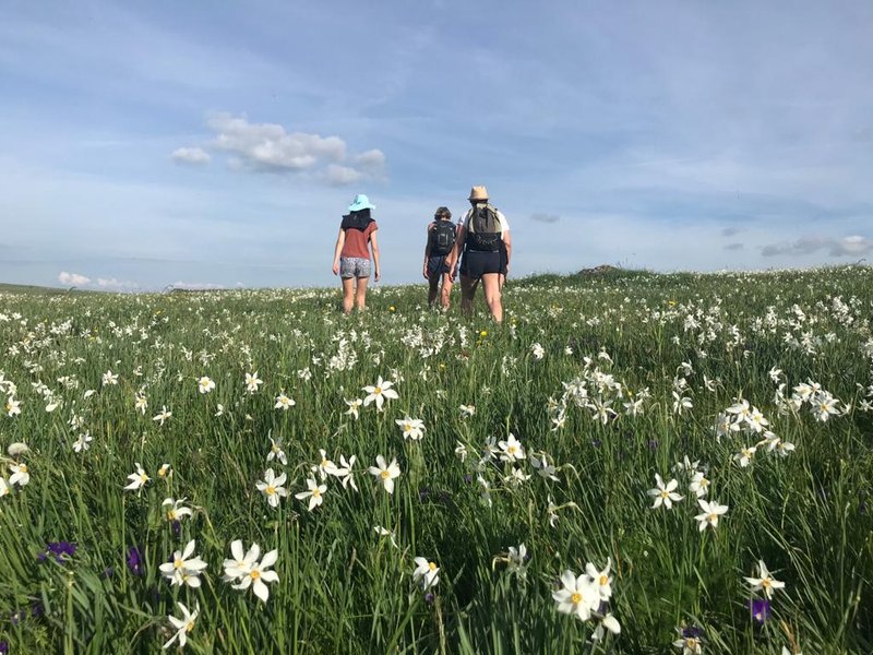 Domaine AbracadaRoom : Buron Cœur D'Aubrac - Image 3