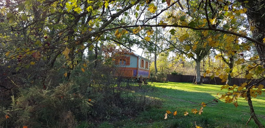 extérieur "Au Bois Chéri" Roulotte Gîte