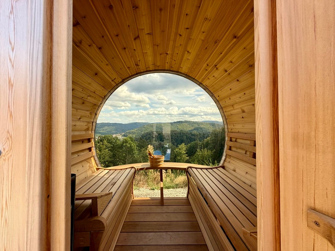Dôme Aura-Insolite-Sauna-Bain-Nordique-Climatisé à Hommert (4)