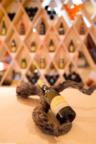 Domaine AbracadaRoom : Vignoble Marchais - Image 3