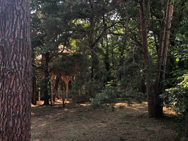 Domaine AbracadaRoom : Le Jardin Des Cabanes - Image 5