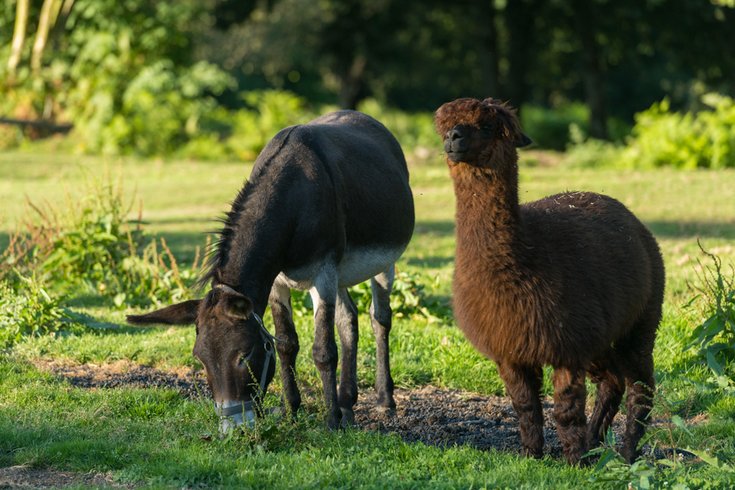Hébergement AbracadaRoom : La Cabane Spa Lodge 2 - Image 10
