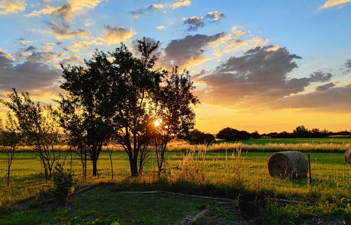 Dôme aux oiseaux : Dôme en Lorraine (Grand Est)