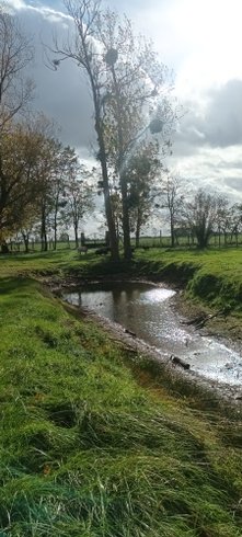 Hébergement AbracadaRoom : La bulle - Image 4