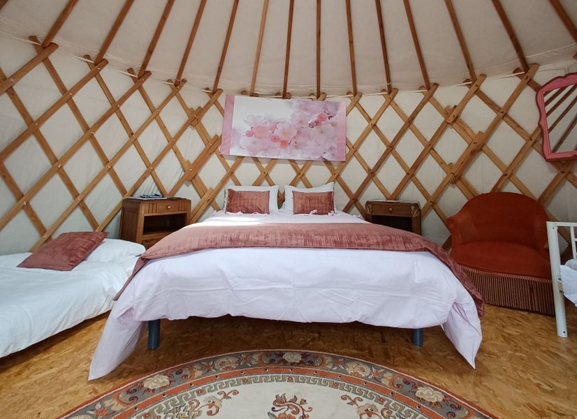 Hébergement AbracadaRoom : Fuchsia - Image 3