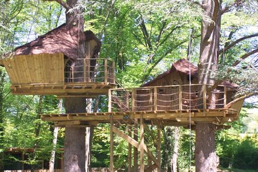 Cabane des Ouistitis à Magné (1)