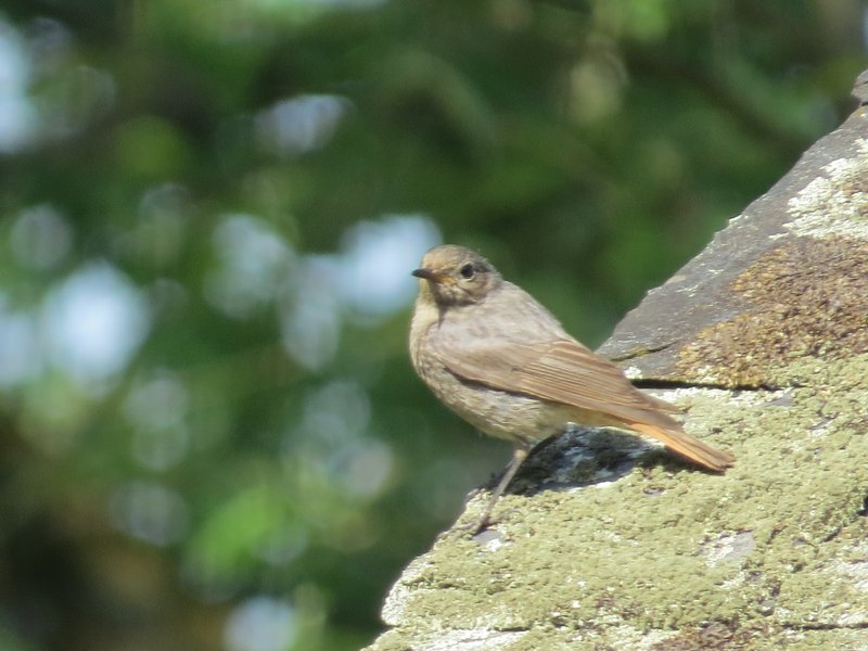 Domaine AbracadaRoom : Le domaine de la Clauzade - Image 7