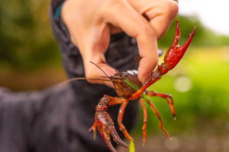 Domaine AbracadaRoom : Homnest (Mouliets) - Image 8