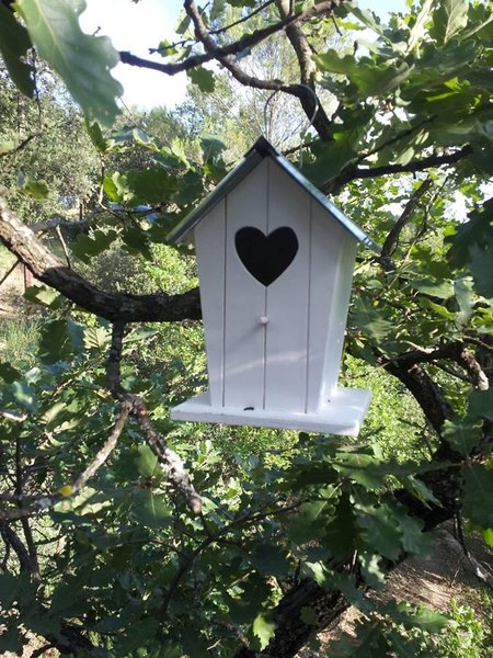 decoration-cabane aux oiseaux-domaine des amoureux-paca-abracadaroom