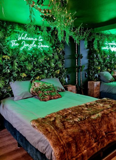 Jungle Room & Spa à Thiers