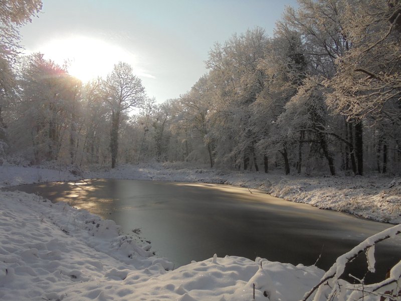 Domaine AbracadaRoom : Cabane Spa et Nature - Image 9