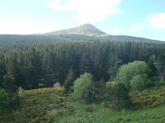 Hébergement AbracadaRoom : La Clairière de Peylenc - Refuge en Velay - Image 46