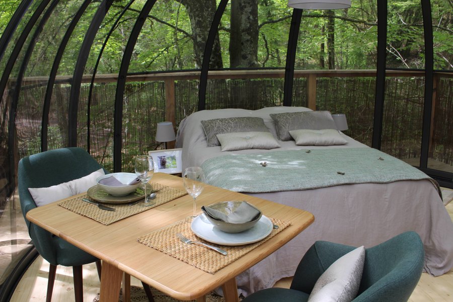 Hébergement AbracadaRoom : Dôme perché Spa - Chouette - Image 5