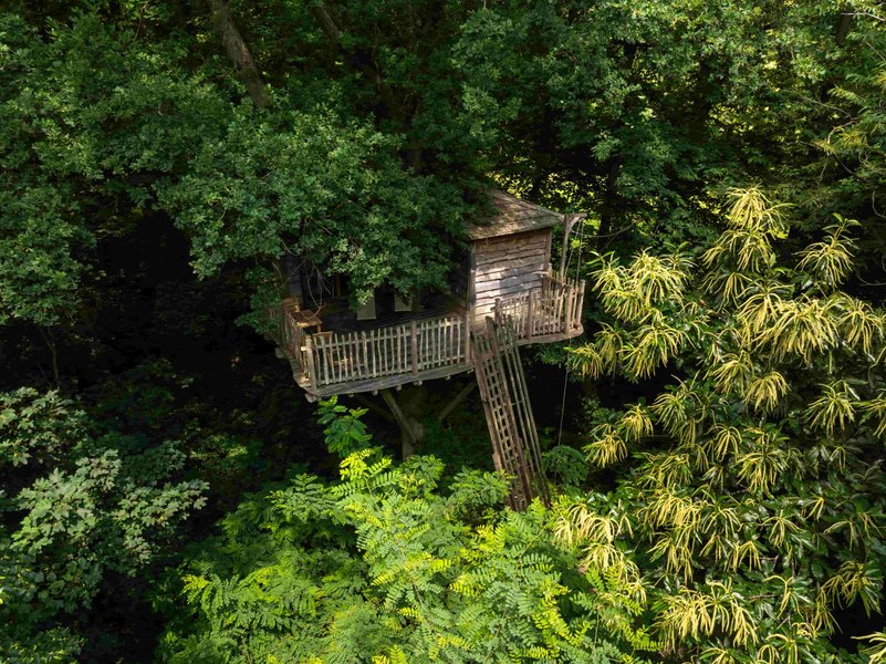 Hébergement AbracadaRoom : Cabane Secrète - Image 1