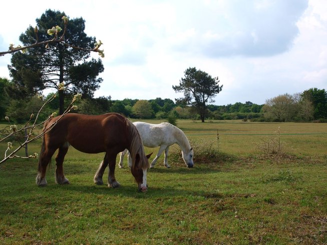 Domaine AbracadaRoom : Kaban'Etik - Image 1