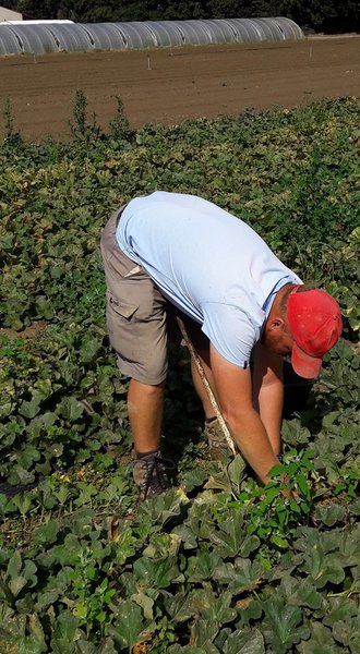 Hébergement AbracadaRoom : La Roulotte Spa Gitane - Image 12