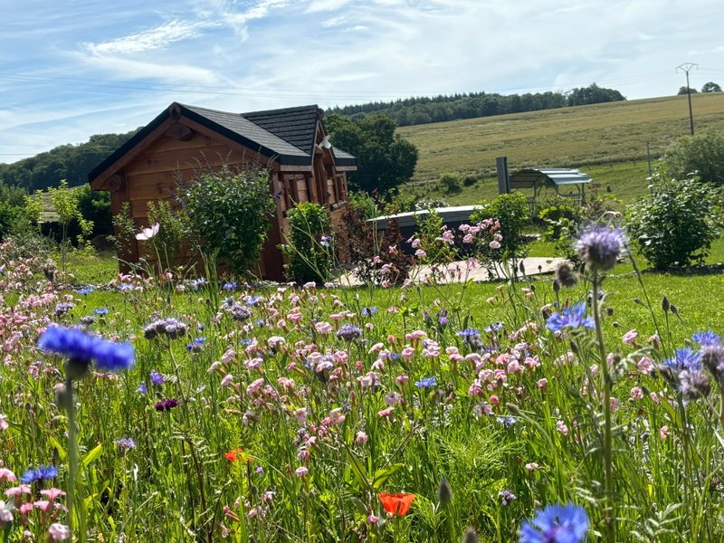 Hébergement AbracadaRoom : La petite Bicolia & Spa - Image 2