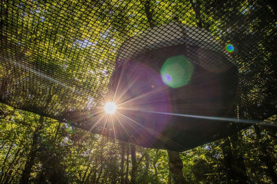 Hébergement AbracadaRoom : Nid'iles Iona - Image 5