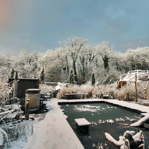 Domaine AbracadaRoom : Ô Pays des bois - Image 12