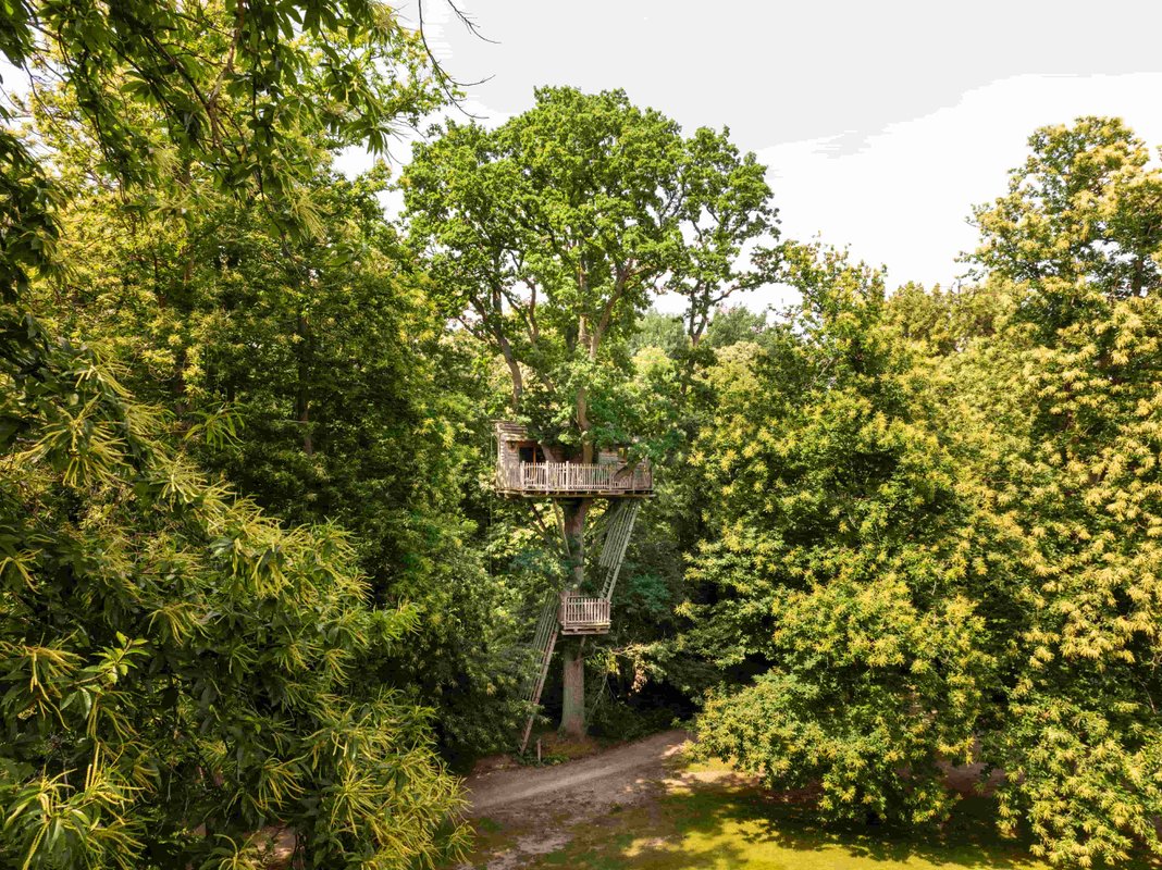 Cabanes Duo dans les Arbres à Raray (1)