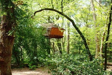 Cabane Jonquille à Cléder (2)