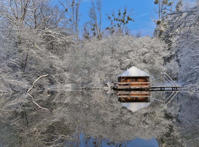 Hébergement AbracadaRoom : Cabane Martin-Pêcheur - Image 9