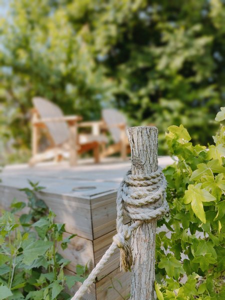 Hébergement AbracadaRoom : Dôme aux oiseaux - Image 17