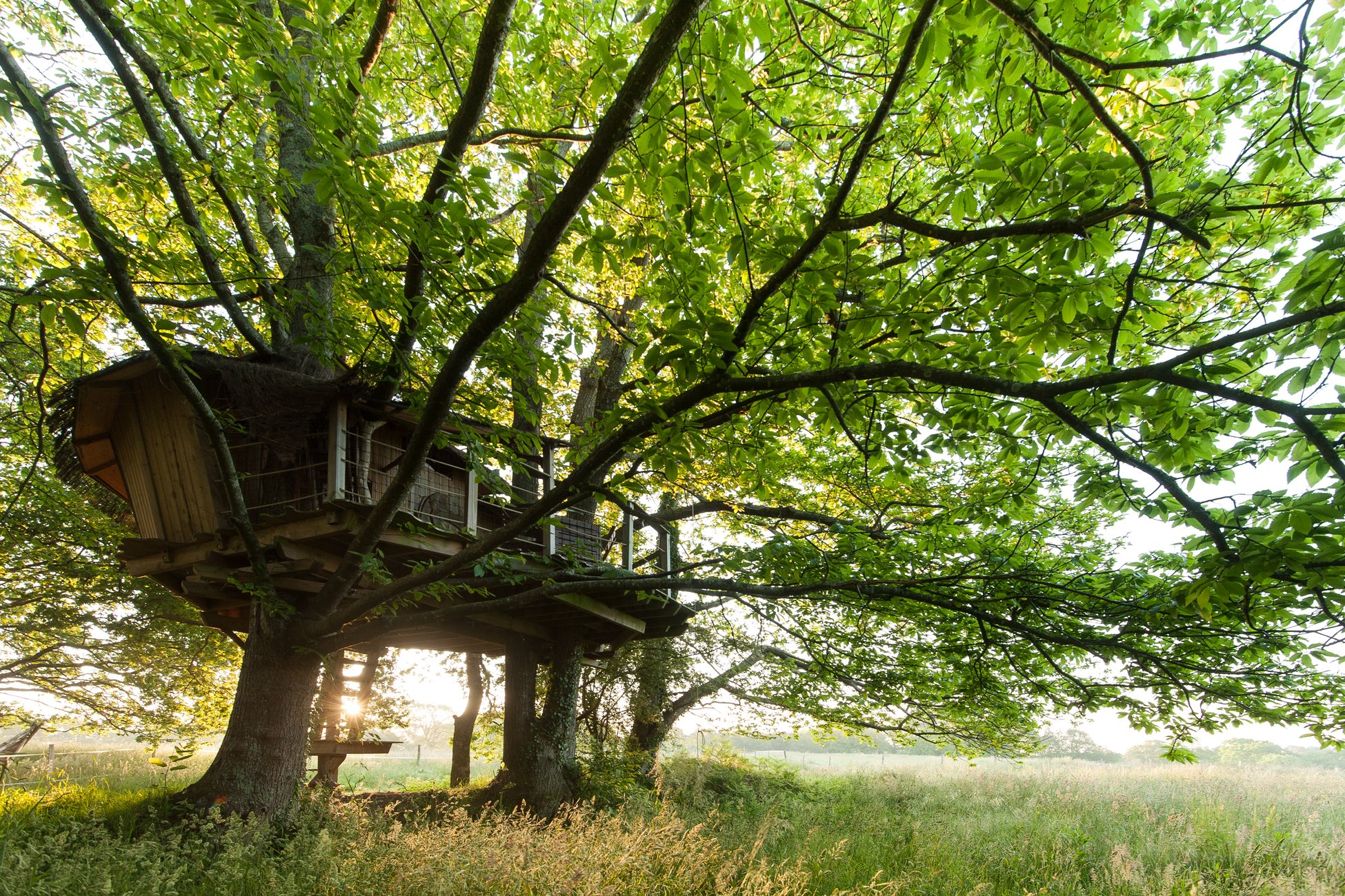 Hébergement UnicStay : La Cabane perchée Folenn à Ploemel