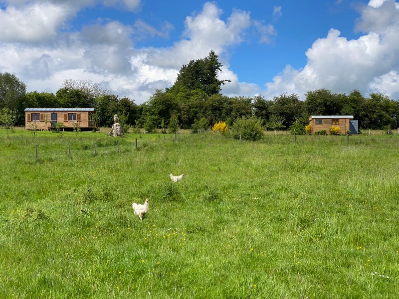 Domaine AbracadaRoom : Les terres de la chouette - Image 20