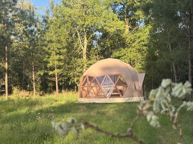 Domaine AbracadaRoom : Dôme en forêt Landaise - Image 3