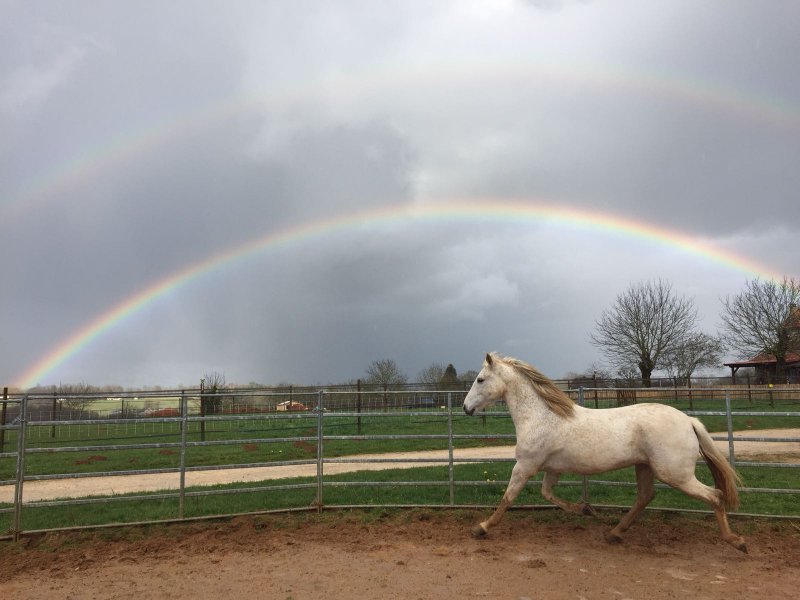 Domaine AbracadaRoom : La Noalha Insolit' - Image 6