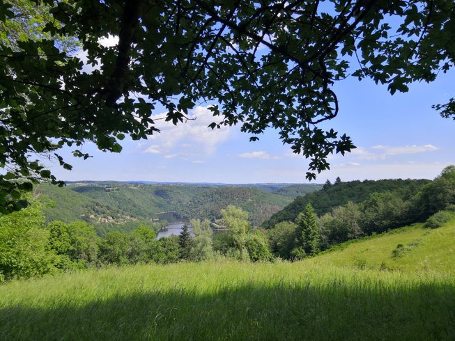 Domaine AbracadaRoom : Moose Tiny House Ambur - Image 34