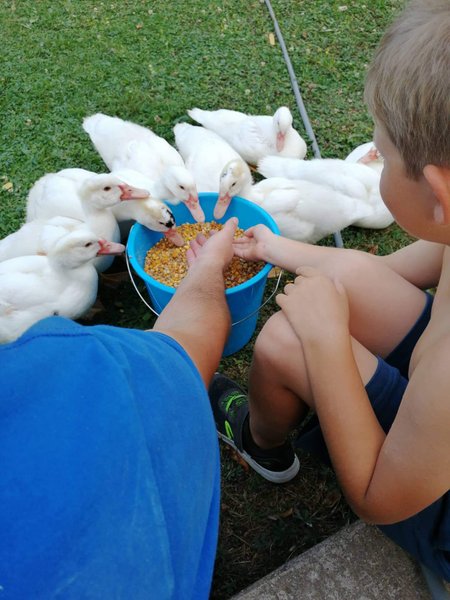 Domaine AbracadaRoom : Cabanes au Fil des Saisons - Image 8