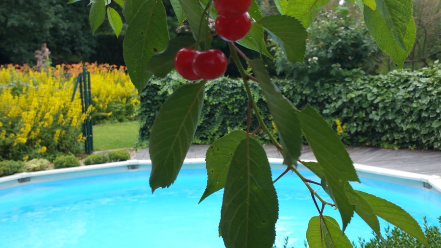 Domaine AbracadaRoom : Chez Lila des Bois - Image 5