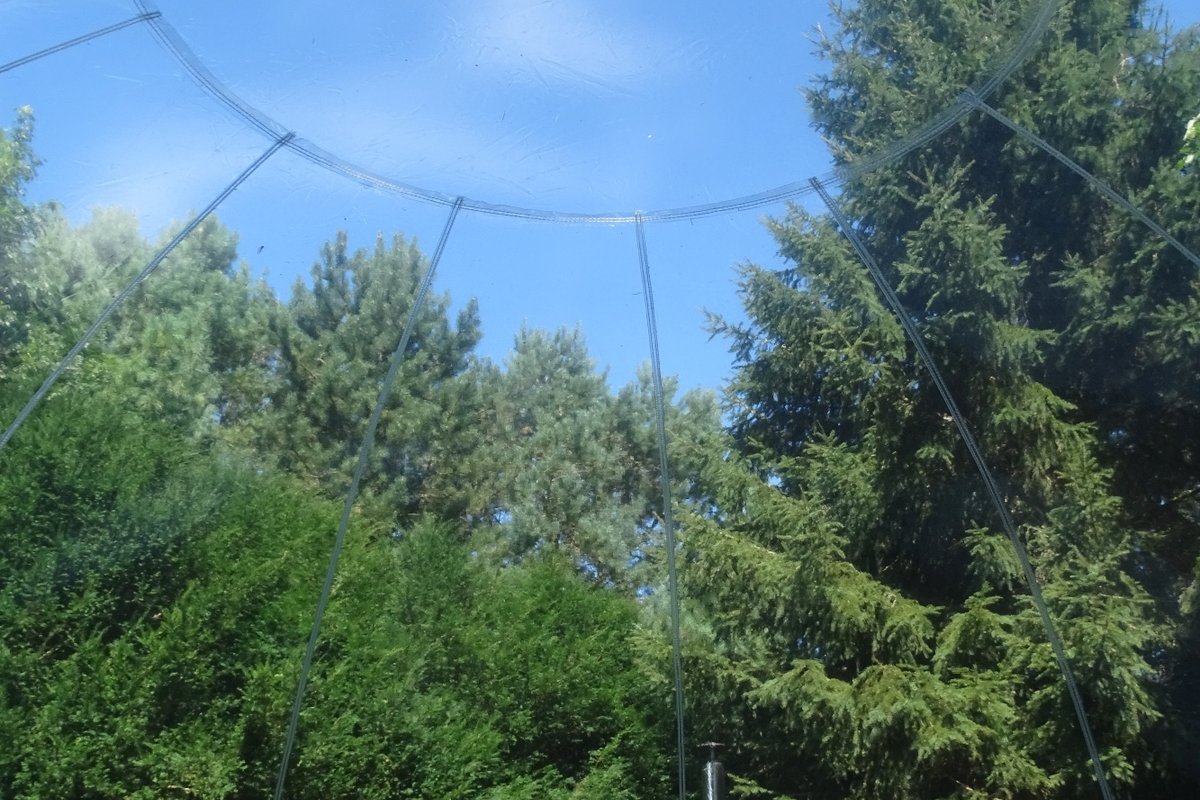 La bulle de la Parenthèse Insolite & Bain nordique à Dialan Sur Chaine (8)