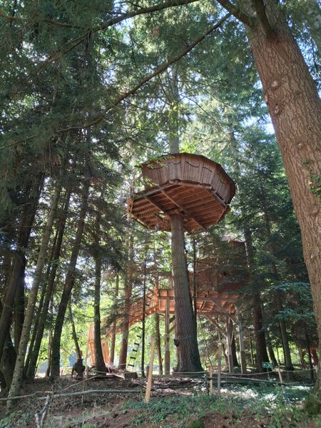 Hébergement AbracadaRoom : Cabane Renard - Image 1