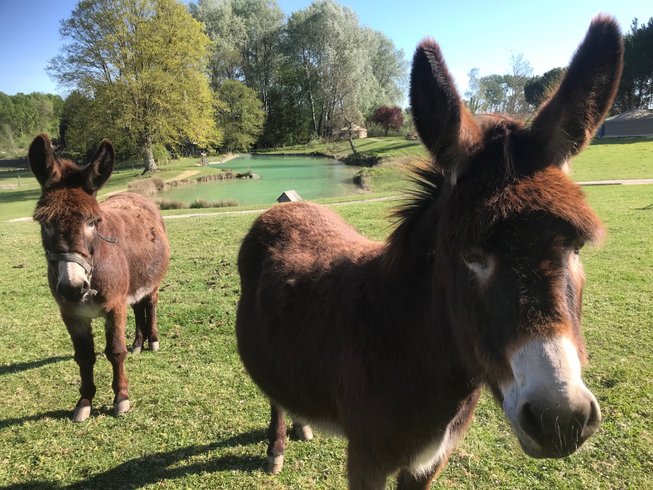 Domaine AbracadaRoom : Domaine de la Roche Bellin - Image 13